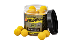 Carp Servis Václavík Boilies Balanc 120g/20mm