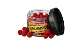 Carp Servis Václavík Boilies Balanc Feeder 80g/12mm