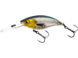 Westin Wobler BuzzBite Crankbait 5cm/6g