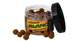 Carp Servis Václavík Boilies Balanc Feeder 80g/12mm