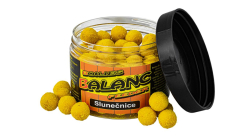 Carp Servis Václavík Boilies Balanc Feeder 80g/12mm